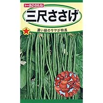 Amazon.co.jp: ささげ 種 【 十六ささげ 】 種子 小袋（約15ml